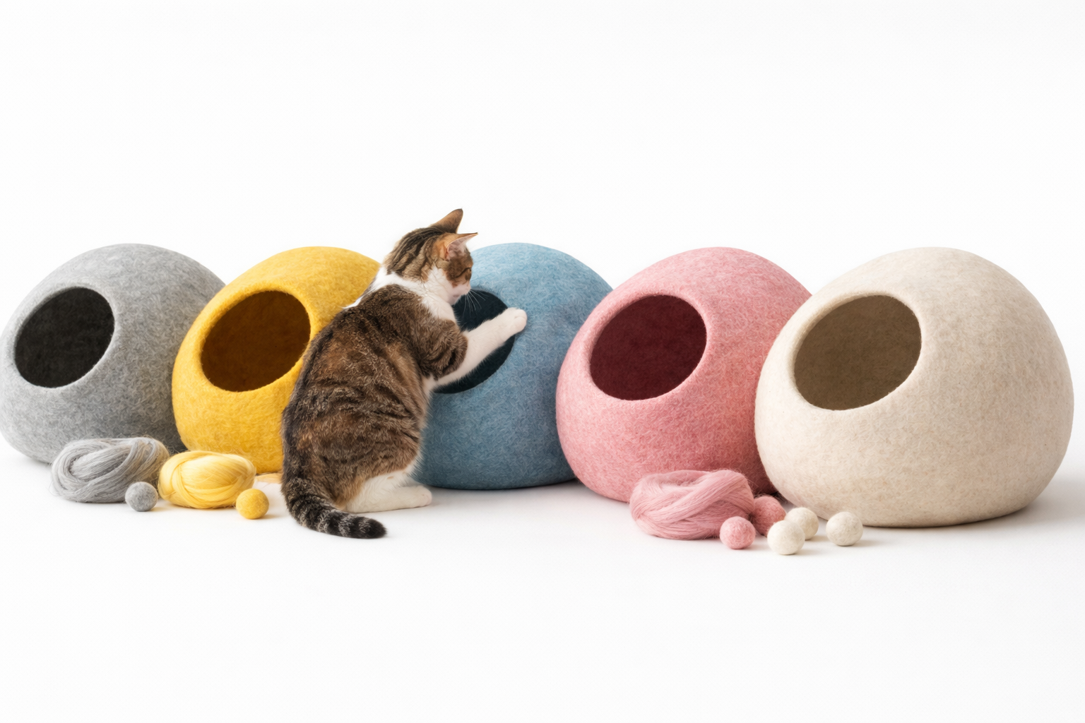 Wholesale cat cave sample set